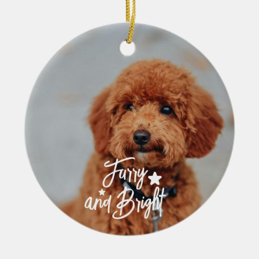 Furcht und Hund oder Katzen Foto Personalisiert Keramik Ornament (Vorne)