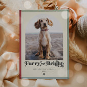 Furcht und Hunde Foto Weihnachten