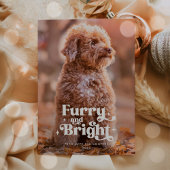 Furcht und Hunde Foto Weihnachten