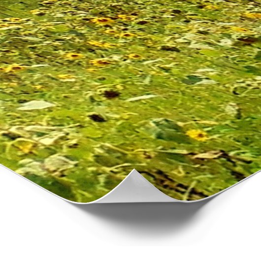 Furcht und wunderbar gemacht poster (Ecke)