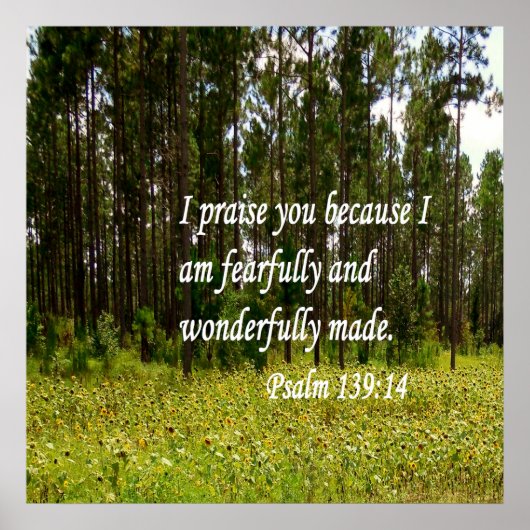 Furcht und wunderbar gemacht poster (Vorne)