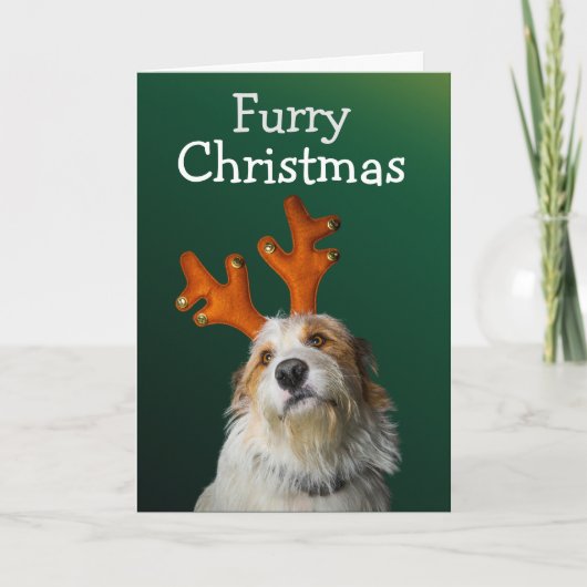 Furcht Weihnachten von der Hundekarte Dankeskarte (Vorderseite)