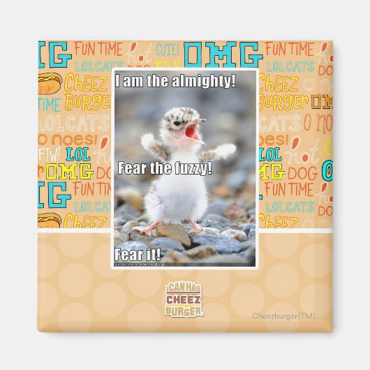 Fürchte den Schwindel! Magnet (Vorne)