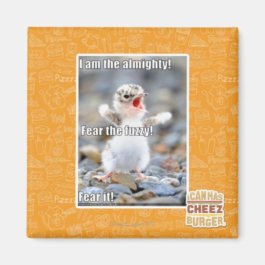 Fürchte den Schwindel! Magnet (Vorne)