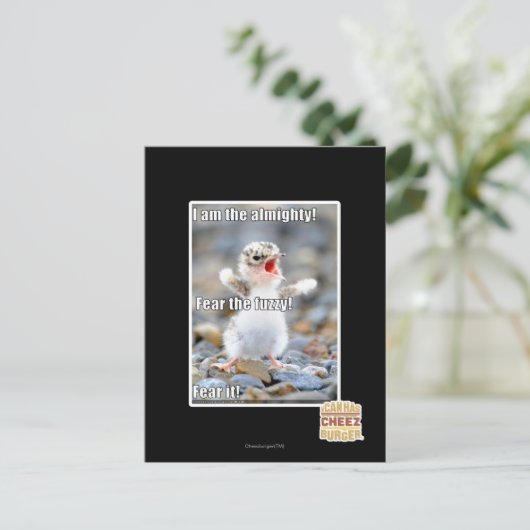 Fürchte den Schwindel! Postkarte (Stehend Vorderseite)