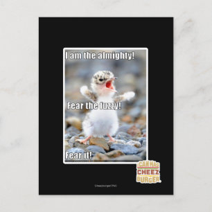 Fürchte den Schwindel! Postkarte