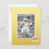 Fürchte den Schwindel! Postkarte (Vorne/Hinten)