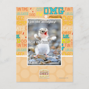 Fürchte den Schwindel! Postkarte