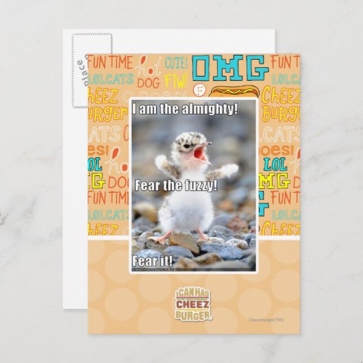 Fürchte den Schwindel! Postkarte (Vorne/Hinten)