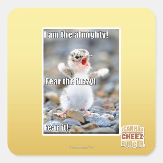 Fürchte den Schwindel! Quadratischer Aufkleber (Vorderseite)