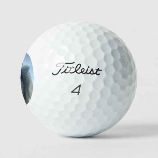 Furchtlos der arktische Wolf, Golfball (Logo)
