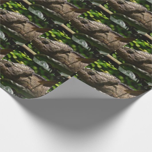 Furcifer oustaleti geschenkpapier (Ecke)