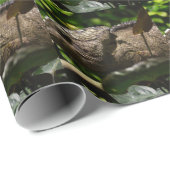 Furcifer oustaleti geschenkpapier (Rolleneckpunkt)