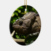 Furcifer oustaleti keramikornament (Rechts)