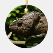 Furcifer oustaleti keramikornament (Vorne)