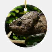 Furcifer oustaleti keramikornament (Hinten)