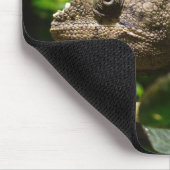 Furcifer oustaleti mousepad (Ecke)