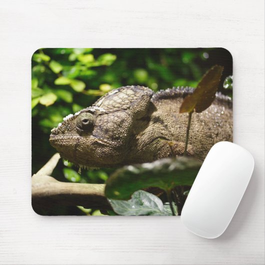 Furcifer oustaleti mousepad (Mit Mouse)