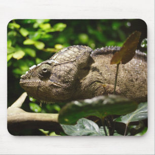 Furcifer oustaleti mousepad