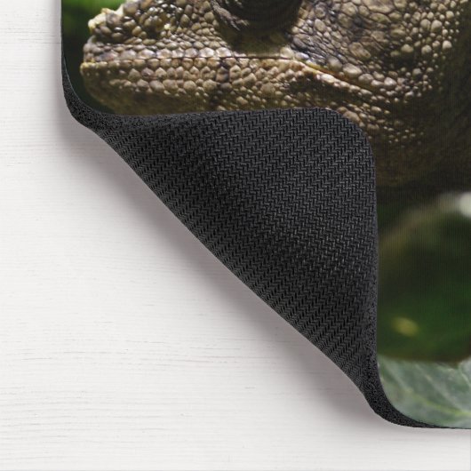 Furcifer oustaleti mousepad (Ecke)