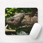 Furcifer oustaleti mousepad (Mit Mouse)