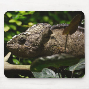Furcifer oustaleti mousepad