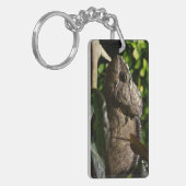 Furcifer oustaleti schlüsselanhänger (Vorderseite links)