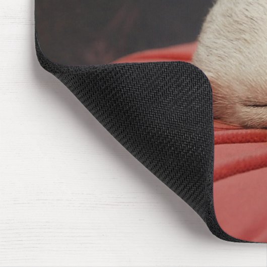 Furet sur coussin Rose Mousepad (Ecke)