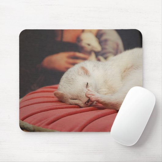 Furet sur coussin Rose Mousepad (Mit Mouse)