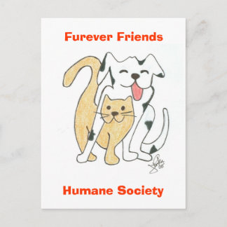 Furever Friends Humane Society Postcard Postkarte