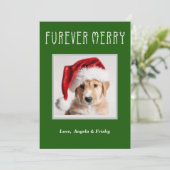Furever Frohe Personalisierte Weihnachtskarte Feiertagskarte (Stehend Vorderseite)