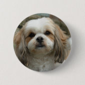 Furface Button (Vorderseite)