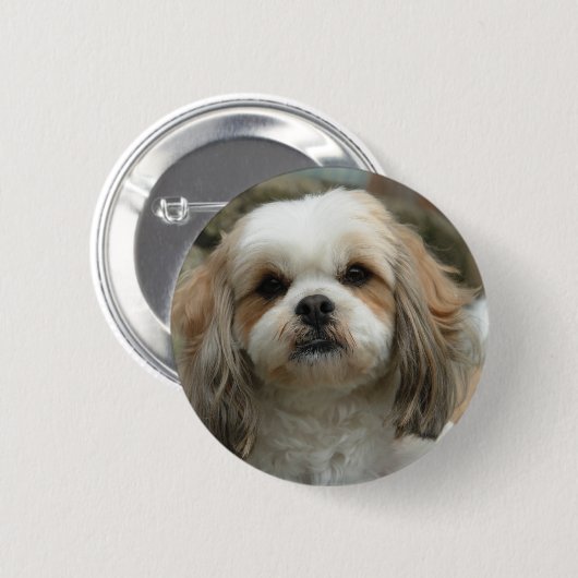Furface Button (Vorne & Hinten)