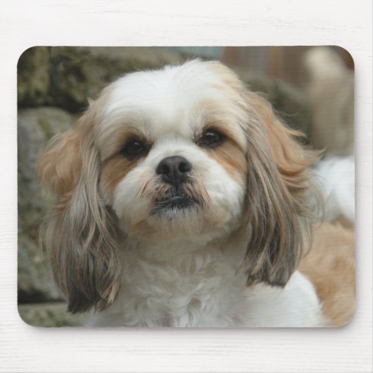 Furface Mausunterlage Mousepad (Vorne)