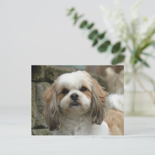 Furface Postkarte (Stehend Vorderseite)