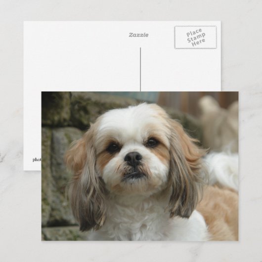 Furface Postkarte (Vorne/Hinten)