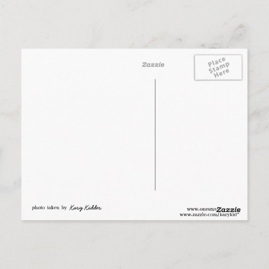 Furface Postkarte (Rückseite)