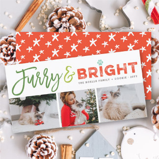 Furie und Bright Typografie Katze Lover 3 Foto Hau Feiertagskarte