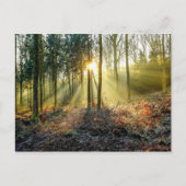 Furnace Valley Postcard Postkarte (Vorderseite)