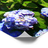 Furnas-See, Azoren Poster (Ecke)