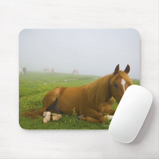 Furnieren 2 mousepad (Mit Mouse)