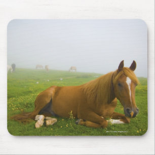 Furnieren 2 mousepad