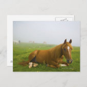 Furnieren 2 postkarte (Vorne/Hinten)