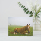 Furnieren 2 postkarte (Stehend Vorderseite)