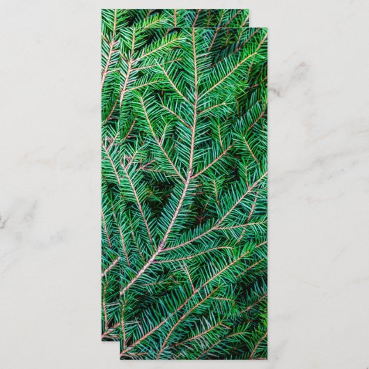 Furnierzweig (Vorne/Hinten)