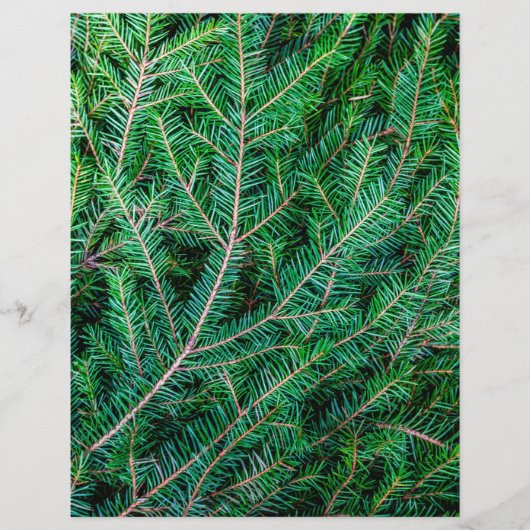 Furnierzweig Flyer (Vorne)