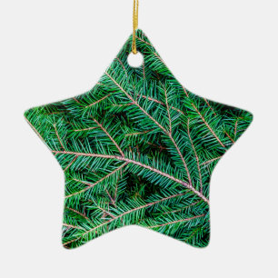 Furnierzweig Keramik Ornament
