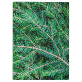 Furnierzweig Klemmbrett (Rückseite)