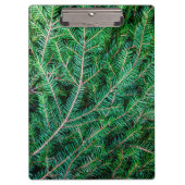 Furnierzweig Klemmbrett (Vorderseite)