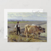 Furrow, 1897 postkarte (Vorne/Hinten)